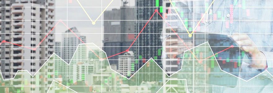 Gestion de solutions de veille et bases de données immobilières et commerciales